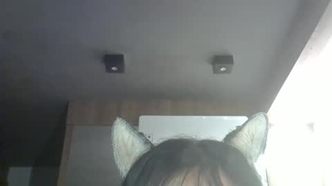 Snapshot of skinnykittencam chatting on 03-28-26, 04:01 skinnykittencam online show from 03-28-26, 04:01