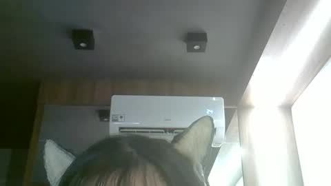 Snapshot of skinnykittencam chatting on 04-11-26, 03:38 skinnykittencam online show from 04-11-26, 03:38