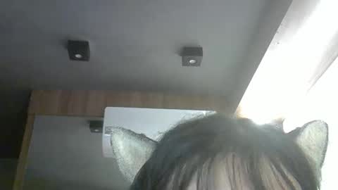 Snapshot of skinnykittencam chatting on 04-14-26, 03:01 skinnykittencam online show from 04-14-26, 03:01