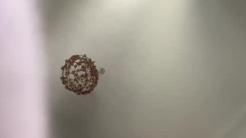 skuzzy25 online show from 03-03-25, 08:49