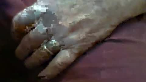 ResqPylot2 online show from 02-04-26, 04:13