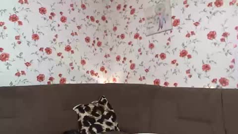 Snapshot of skysupernova chatting on 12-10-24, 01:00 Sky online show from 12-10-24, 01:00