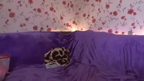 Snapshot of skysupernova chatting on 02-24-25, 06:05 Sky online show from 02-24-25, 06:05