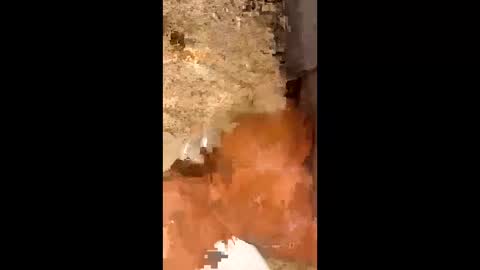 slapaho666 online show from 10-03-25, 03:03