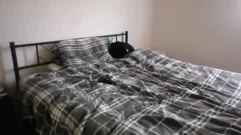 Snapshot of slavemike301 chatting on 05-13-26, 12:02 slavemike301 online show from 05-13-26, 12:02