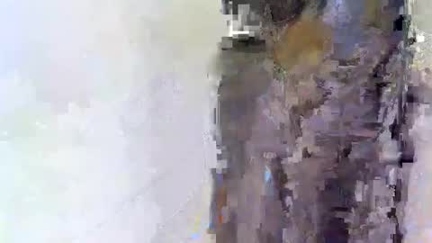 slim_me online show from 04-15-26, 08:54