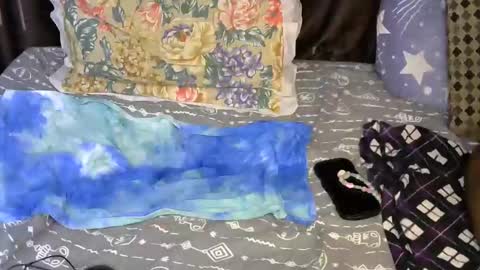 slim_me online show from 05-07-26, 07:36