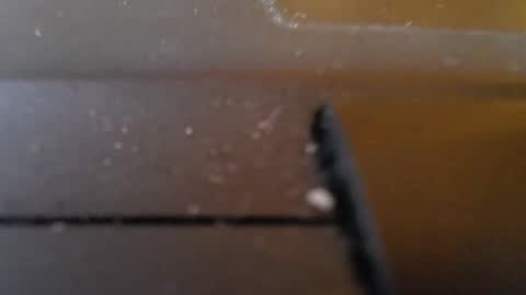 Jemila online show from 01-29-25, 01:27