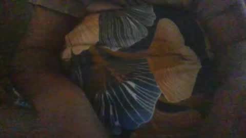 slothslav online show from 12-18-24, 12:40