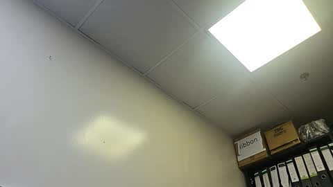 slothslav online show from 10-28-25, 02:04