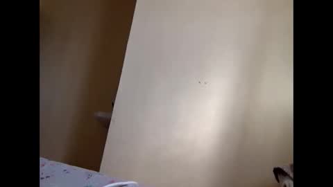 Skillibengisaadboy online show from 06-04-26, 05:02
