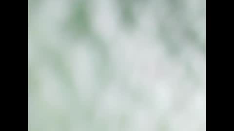 small wood21 online show from 12-22-25, 11:51