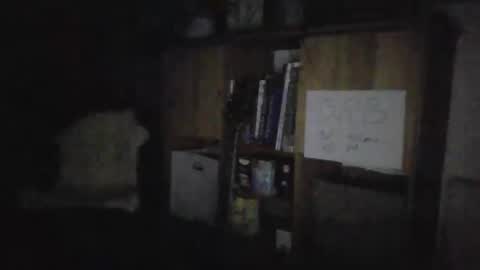 Snapshot of smiling_hillbilly chatting on 01-27-25, 04:30 smileing hillbilly online show from 01-27-25, 04:30