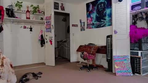 Snapshot of smokihippi chatting on 11-11-25, 02:39 Big Dawg online show from 11-11-25, 02:39