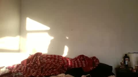 Bambi--Vodka online show from 12-22-24, 09:09