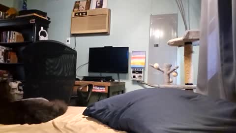 Snackyyyy online show from 03-17-26, 06:00