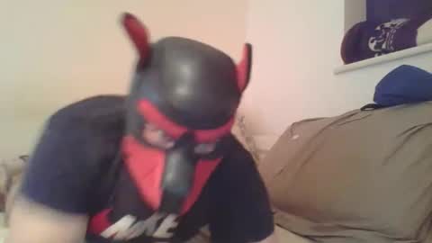 SoftPuppy online show from 01-09-26, 10:33