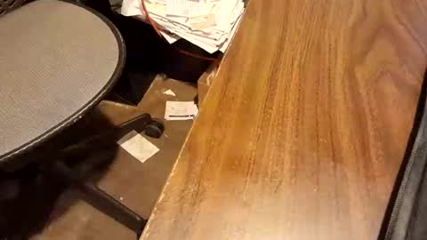 watchmecum online show from 02-15-26, 01:09