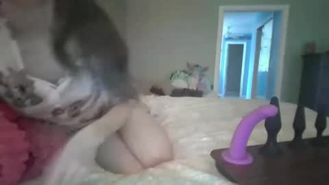 soaring_angel online show from 12-30-24, 03:24