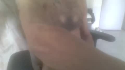 sodomite754 online show from 11-09-25, 05:06