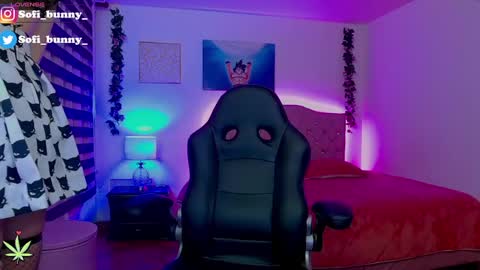 soffi_bunny_ online show from 02-23-25, 06:07
