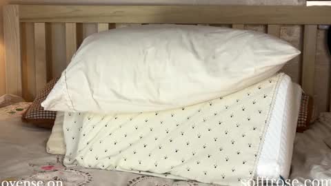 Snapshot of sofftrose chatting on 01-11-25, 12:33 Julia online show from 01-11-25, 12:33