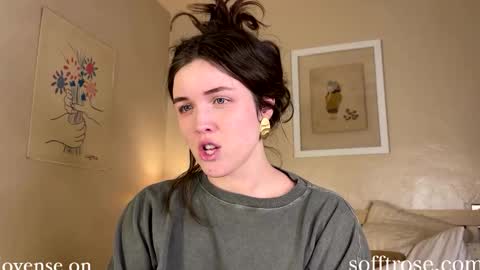 Snapshot of sofftrose chatting on 01-22-25, 02:04 Julia online show from 01-22-25, 02:04