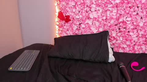 Snapshot of sofia_riveraa chatting on 01-22-25, 11:53 SOFIA online show from 01-22-25, 11:53