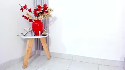 Snapshot of sofia_riveraa chatting on 02-04-25, 11:27 SOFIA online show from 02-04-25, 11:27