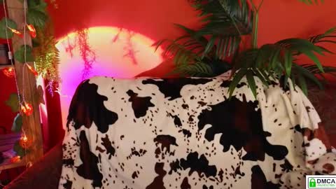 E online show from 11-18-25, 09:14