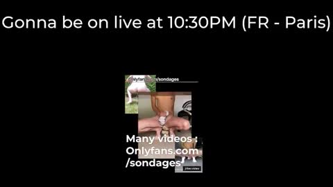 Sondages online show from 03-14-26, 09:31