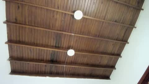 sophie_smith19 online show from 12-22-25, 01:19