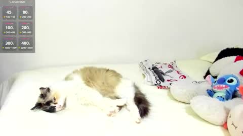 Snapshot of sophiebaker__ chatting on 09-20-25, 01:50 sophiebaker__ online show from 09-20-25, 01:50