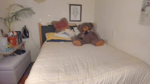 SofiTrans21 online show from 01-12-26, 10:26