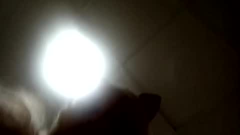 Snapshot of south_florida chatting on 09-17-25, 07:37 Candy online show from 09-17-25, 07:37