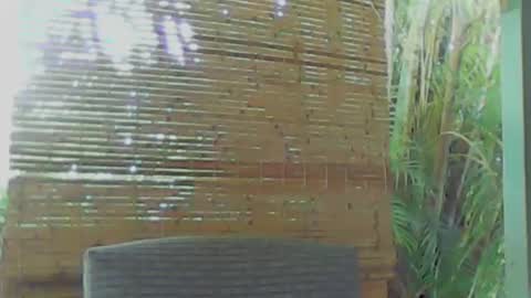 Snapshot of soveryhandsome chatting on 01-09-25, 05:34 soveryhandsome online show from 01-09-25, 05:34