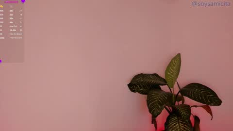 Sami Diaz   online show from 12-17-24, 08:34