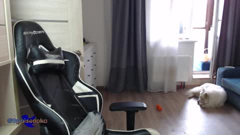 Snapshot of spaisenok chatting on 03-10-25, 12:37 Mike online show from 03-10-25, 12:37