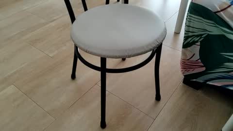 Snapshot of sparky_yena chatting on 03-02-26, 01:51 Leo online show from 03-02-26, 01:51