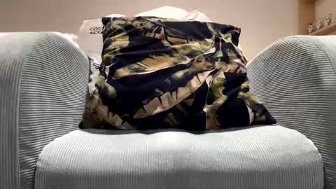 Dany online show from 02-11-25, 11:54