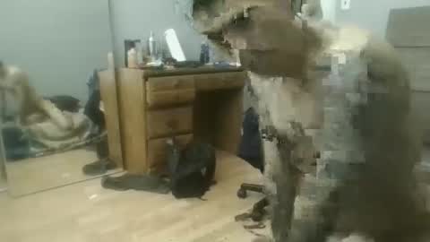 speedfreekeespun online show from 02-25-25, 07:14