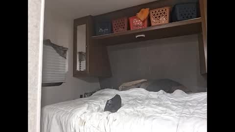 speedo_tx online show from 03-23-26, 05:11