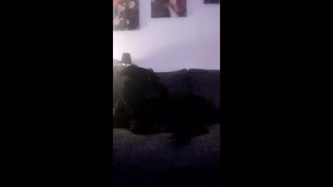 Snapshot of spermaking854897 chatting on 03-14-26, 04:07 spermaking854897 online show from 03-14-26, 04:07