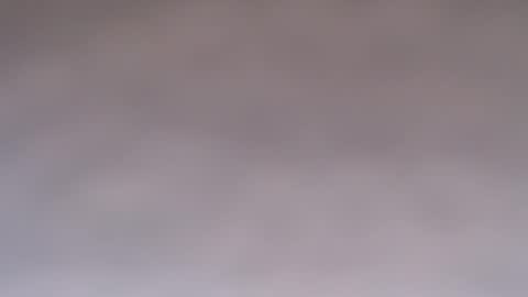 Doll online show from 10-07-25, 10:23