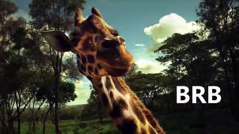 Karina online show from 01-18-25, 09:02