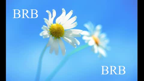 Karina online show from 02-28-25, 08:31