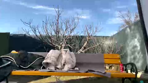 My name is Maya Lush is activeThere are legends that in this room all your wishes can come true  Private is Open online show from 03-07-25, 10:02