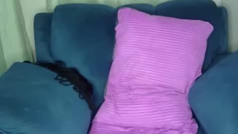 shana online show from 12-08-24, 06:28