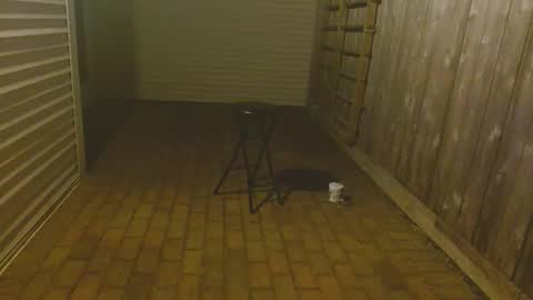 srtxshow online show from 10-23-25, 11:53