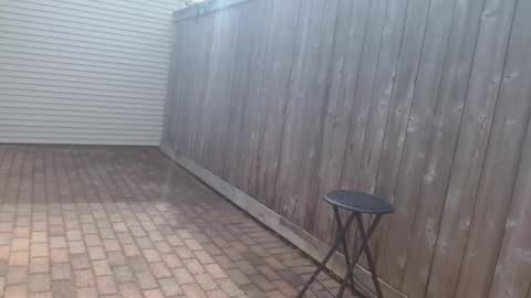 srtxshow online show from 04-15-26, 03:41